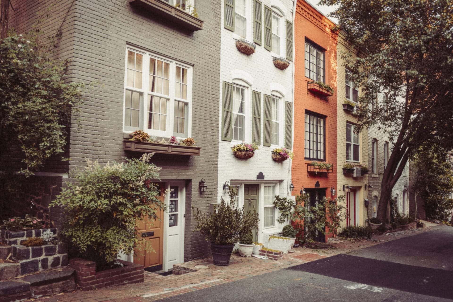 A quaint row of townhouses on a quiet street in Washington DC.