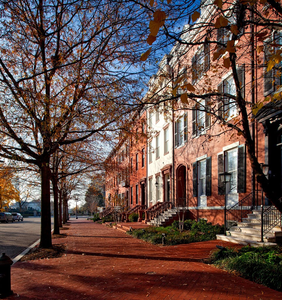 Elegant row houses line a tree-shaded street in Washington DC during autumn.